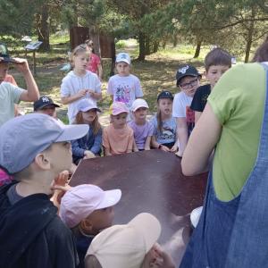 67f004ed-149e-4388-ac58-eaeca418a119.jpg