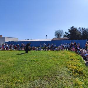 p6.jpg